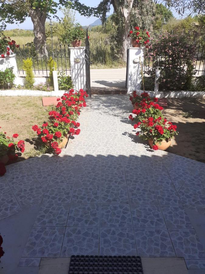 Issos Apartments Agios Georgios  Eksteriør billede