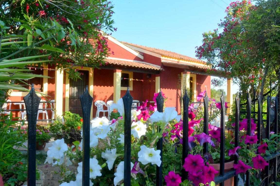 Issos Apartments Agios Georgios  Eksteriør billede