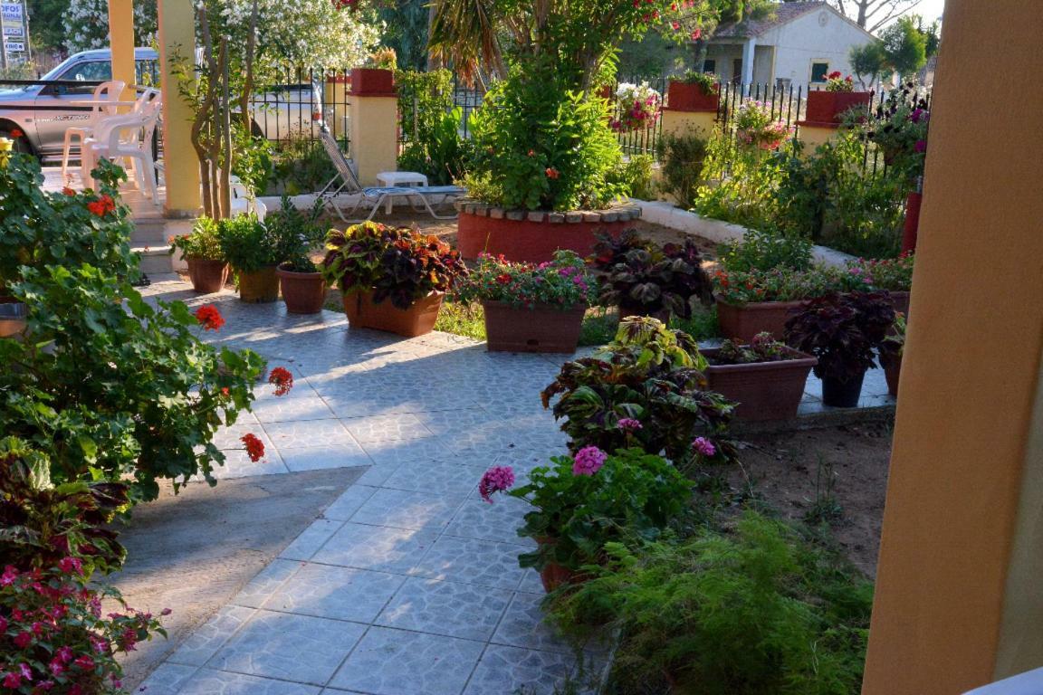 Issos Apartments Agios Georgios  Eksteriør billede