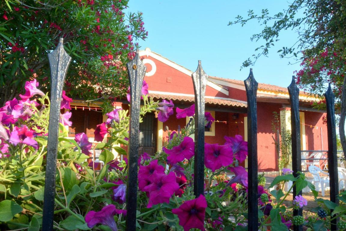 Issos Apartments Agios Georgios  Eksteriør billede